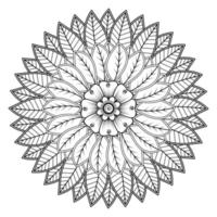 cirkelvormig patroon in de vorm van mandala voor henna, mehndi, tatoeage, decoratie. decoratief ornament in etnische oosterse stijl. kleurboek pagina. vector