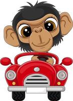 tekenfilm babychimpansee die rode auto bestuurt vector