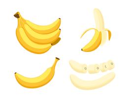 Vectorillustratie van vastgestelde verse die banaan op witte achtergrond wordt geïsoleerd vector