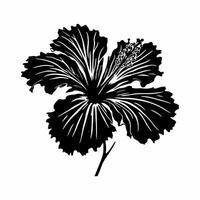 verbijsterend hibiscus bloem silhouett ontwerpen Aan wit achtergrond vector