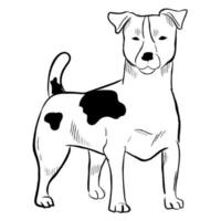 jack russell terrier hond geïsoleerd op een witte achtergrond. vector