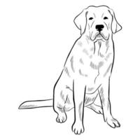 labrador hond geïsoleerd op een witte achtergrond. vector
