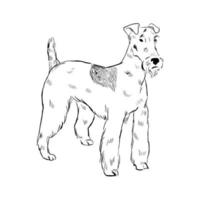 bedrade fox terrier hond geïsoleerd op een witte achtergrond. vector