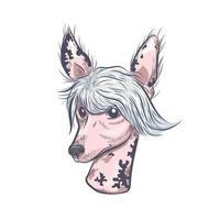 chinese crested dog hand getekende vector schets.