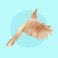 illustratie vector van de vogel vliegen pose onmogelijk opzichtige exotische snavel. handgetekende illustratieafbeeldingen goed voor wanddecoratie, behang en element van designproduct