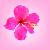 Roze hibiscus bloem veelhoek. vector