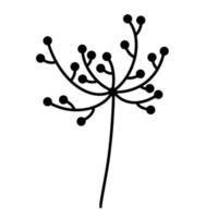 plant takje vector pictogram. hand getrokken doodle geïsoleerd op een witte achtergrond. stengel met grote bloeiwijze en ronde zaden. botanische zwart-wit schets. wilde bloem illustratie.