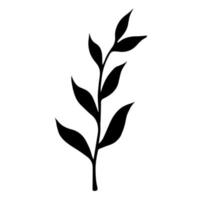 tak met bladeren vector pictogram. handgetekende illustratie geïsoleerd op een witte achtergrond. zwart silhouet van twijgen met gebladerte. botanische schets van een veldplant. monochroom natuurlijk element.