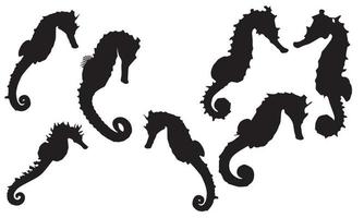 verzameling van zeepaardjes op geïsoleerd wit en zwart achtergrond vectorillustratieontwerp vector