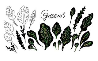 set doodle schets hand getrokken greens. vector