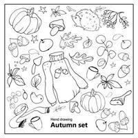 vector herfst set hand getrokken doodles, zwart-wit, met bladeren, dieren, pompoenen, paddestoelen en andere objecten. geïsoleerd op een witte achtergrond. eps10