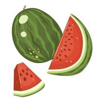 watermeloen en sappige plakjes watermeloen vectorillustratie in vlakke stijl, geïsoleerd op wit voor elk ontwerp vector