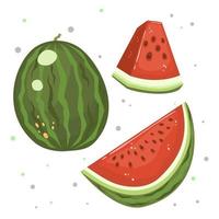 watermeloen en sappige plakjes watermeloen vectorillustratie in vlakke stijl, geïsoleerd op wit voor elk ontwerp vector