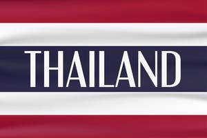 Nieuwe typevlag van het land van Thailand met rode, blauwe en witte kleur. vector