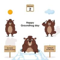 fijne groundhog-dag. diagram met illustraties van schattige en grappige groundhogs. vectorillustratie. vector