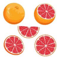 set van delen van een rode sinaasappel. geheel, half, plak en plakje Siciliaanse sinaasappel geïsoleerd op een witte achtergrond. vector