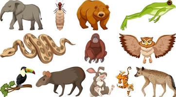 set van verschillende stripfiguren met wilde dieren vector