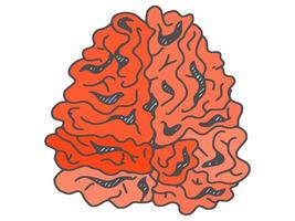 menselijk orgaan uit de hersenen. doodle schets vector