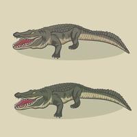 alligator vectorillustratie vector