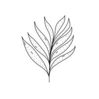 handgetekende plant icoon in doodle stijl. cartoon plant vector pictogram voor webdesign geïsoleerd op een witte achtergrond.