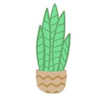 plant in bloempot. zelfgemaakte groene bladeren van kamerplant. tuinieren en botanie. bruine pot en huisdecoratie. platte illustratie vector