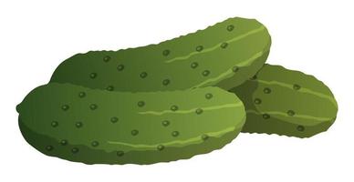 realistische rijpe verse komkommer op witte achtergrond - vector