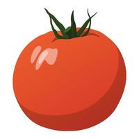 realistische verse rijpe tomaat tegen een witte achtergrond - vector