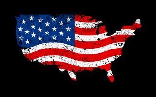 Amerika land vlag vector pictogram