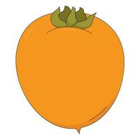 vectorillustratie van persimmon. fruit in cartoonstijl. Citrus geïsoleerd op witte achtergrond vector