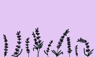 mooie achtergrond met handgetekende lavendelbloemen, medische kruiden. om een spandoek, poster, ansichtkaarten te maken. vector illustratie lila achtergrond. het concept van de franse provence, een botanische trend.