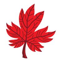 Herfst Maple Leaf vector logo