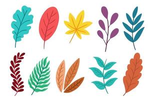 set van platte blad bladeren element plant tropische botanische illustratie vector