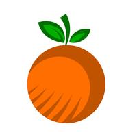 Oranje fruitillustratie vector