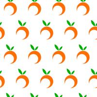 Oranje fruitillustratie vector