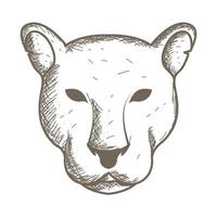 graveren dierenkop leeuwin logo symbool vector pictogram illustratie ontwerp