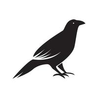 zwart mannelijk vogel raaf logo symbool pictogram vector grafisch ontwerp illustratie idee creatief