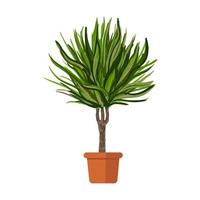 palmboom in pot vector