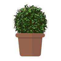 plant in pot illustratie vector