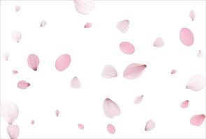 roze sakura vector achtergrond, kersen bloemen