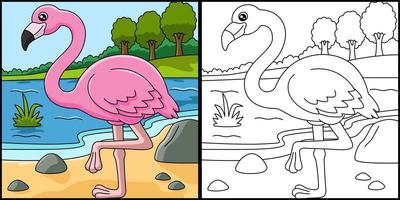 flamingo kleurplaat vectorillustratie vector