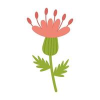 distel, een stekelige honingplant, met een roze bloem. vectorafbeeldingen. cartoon afbeelding geïsoleerd. vector