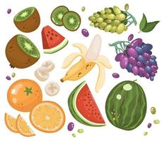 set van fruit. gezond vegetarisch eten. banaan, kiwi, watermeloen, sinaasappel, druiven. vectorillustratie in cartoon-stijl