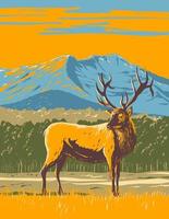 elanden of wapiti in het Rocky Mountain National Park in Noord-Colorado wpa poster art vector