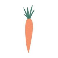 wortel in doodle stijl geïsoleerd op een witte achtergrond. handgetekende groente. vector