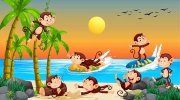 strandtafereel met apen die verschillende activiteiten doen vector