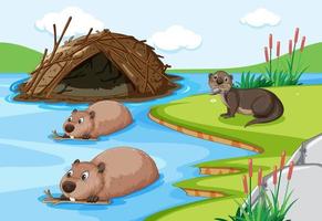 otters en bevers die samenleven in het bos vector