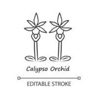 calypso orchidee lineaire pictogram. dunne lijn illustratie. exotische bloeiende bloem. elfenpantoffel met naam. calypso bulbosa bloeiwijze. lente bloesem. vector geïsoleerde overzichtstekening. bewerkbare streek