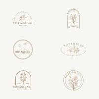 botanische bloemen element hand getekende logo met wilde bloemen en bladeren. logo voor spa en schoonheidssalon, boetiek, biologische winkel, bruiloft, floral designer, interieur, fotografie, cosmetica. vector