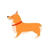 gelukkig schattige hond. welse corgi. puppy zit vlakke afbeelding. vector