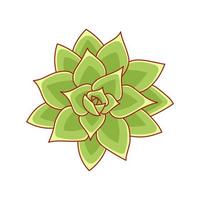 sappige echeveria agavoides in cartoonstijl. woestijn bloem groene roos. kamerplant voor print en design. vectorillustratie, geïsoleerd element op een witte bakcground vector